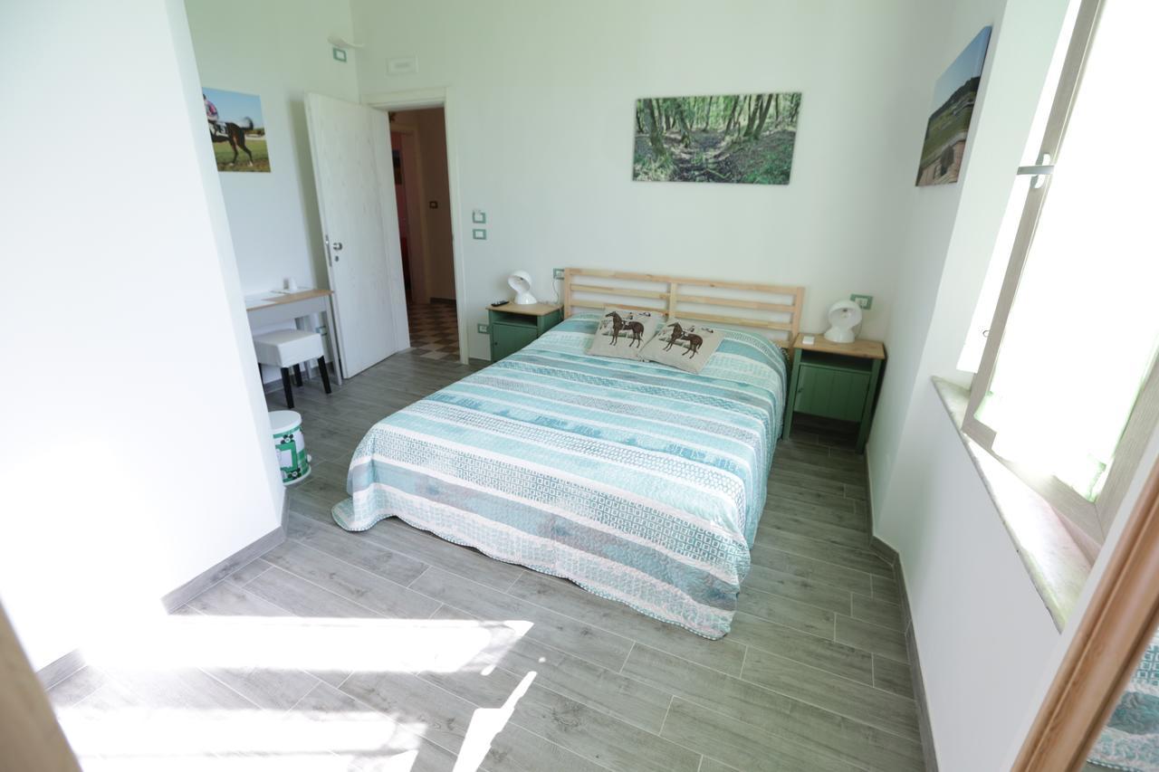 피사 Liberi Di Sognare B&B 외부 사진